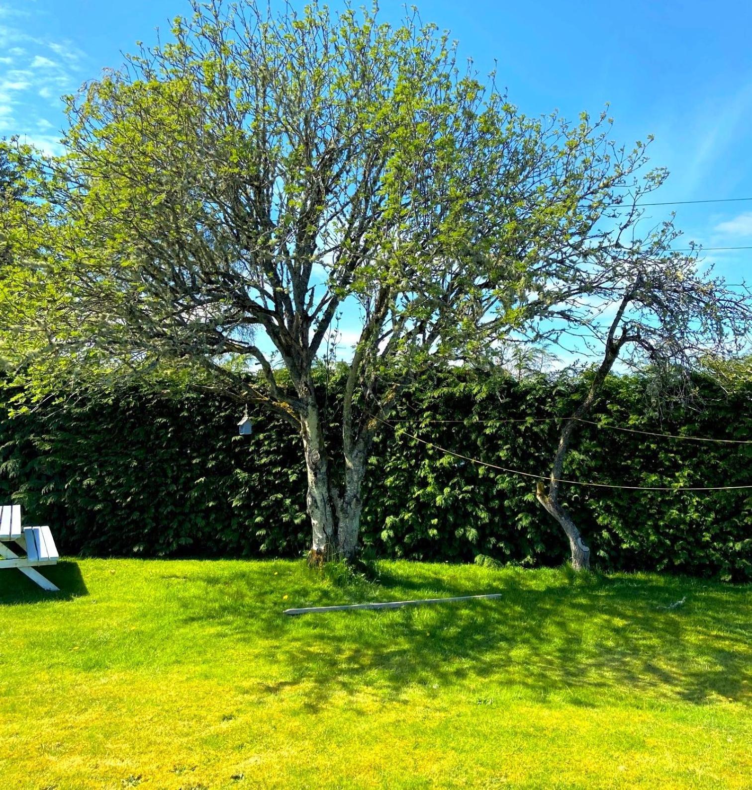 26 Green Drive Inverness Inshes Екстериор снимка